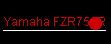 Yamaha FZR750R