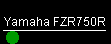 Yamaha FZR750R